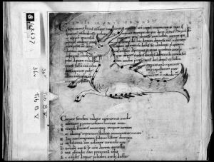 Cicero p.36v - 11th century (early)