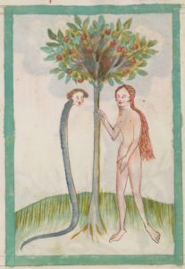 Bibliothèque nationale de France - lat. 9585, fol. 6v - 15th century (first half)