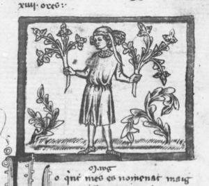 Ermengaud, Matfre p.43r - 15th century
