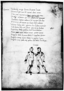 Basinio da Parma (Basinius Parmensis) p.17r - 15th century (second half)