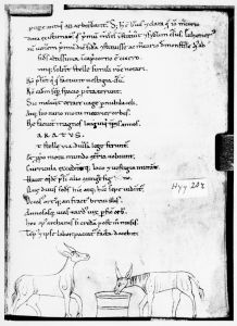 Hyginus p.20r - 12th century