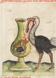 Benediktinerkollegium - Cod. membr. 8, fol. 29r - 1427