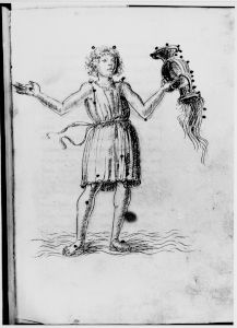 Hyginus p.25r - 15th century
