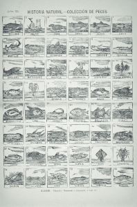 Spanish - 1860s