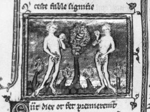 Bibliothèque Municipale - 0.4 (1044), fol. 285r a - 1325 (circa)
