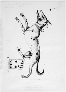 al-Sufi p.38v - 14th century