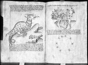 Scot, Michael p.96v-97r - 15th century