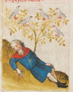 Benediktinerkollegium - Cod. membr. 8, fol. 6v - 1427