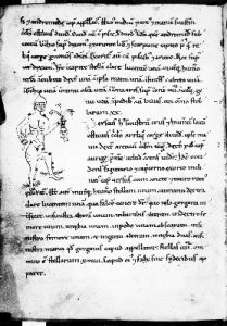 Hyginus - 12th century