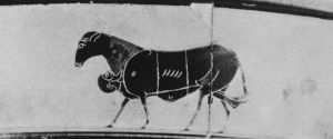 Attic - 530 BC (circa)