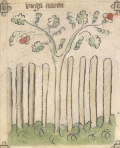 British Library - Sloane MS 361, fol. 12r - 15th century (first half)