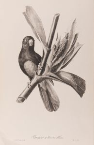 Descourtilz, Jean Théodore - 1834