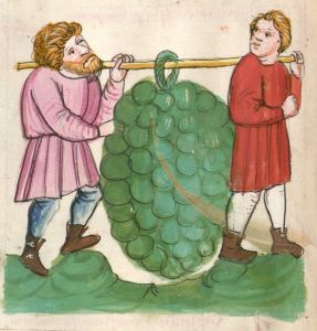 Bayerische Staatsbibliothek - Clm 3003, fol. 21v - 14th century (second half)