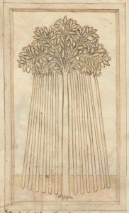 Bibliothèque de l'Arsenal - 593, fol. 10v - 14th century (second half)