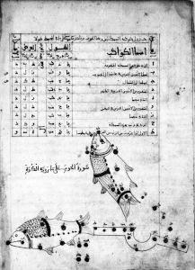 al-Sufi - 1224