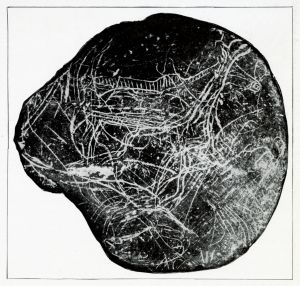 Aurignacian - 30000 BC