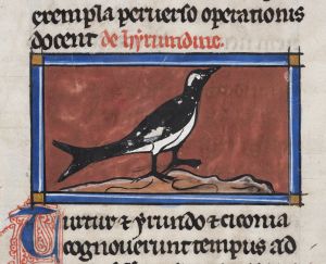 Sidney Sussex College - 100, fol. 17r - 1230 (circa)