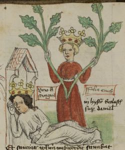 Stiftsbibliothek - Cod. 166, fol. 5v - 15th century (early)
