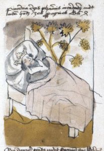 Staatsbibliothek - lat. qu. 917b, fol. 10v - 1450 (circa)