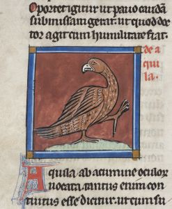 Sidney Sussex College - 100, fol. 24v - 1230 (circa)