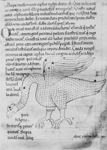 Bodleian Library - Digby 83, fol. 46r - 12th century (third quarter)