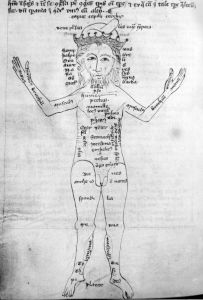 Bibliothek des St Nikolaus-Hospitals - 209, fol. 67v - 14th century