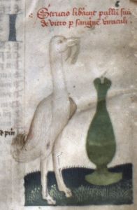 Kanonie sv. Petra a Pavla - 80, fol. 31r - 1415 (circa)