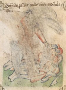 British Library - Sloane MS 361, fol. 19v - 15th century (first half)