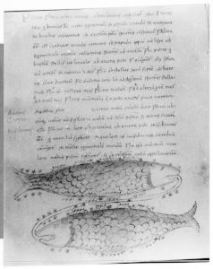 Hyginus p.47r - 15th century