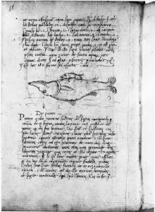 Scot, Michael p.48 - 15th century