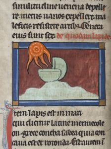 Sidney Sussex College - 100, fol. 40v - 1230 (circa)