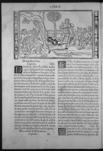 Ovid (Publius Ovidius Naso) p.78v - 1517