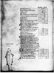 Gerard of Cremona p.106v - 15th century