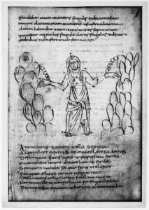 Germanicus Caesar p.25r - 820