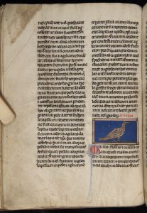 Sidney Sussex College - 100, fol. 16v - 1230 (circa)