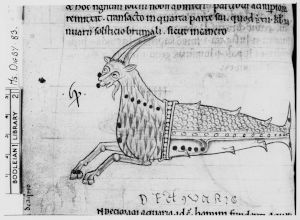 Bodleian Library - Digby 83, fol. 57v - 12th century (third quarter)