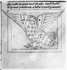 Hopwoode, Radulphus p.29r - 12th century (middle)