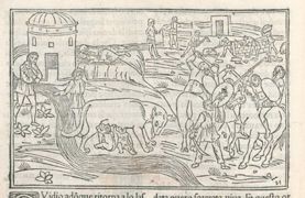 Ovid (Publius Ovidius Naso) p.128v - 1497