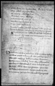Bayerische Staatsbibliothek - Clm 560, fol. 109v - 9th century