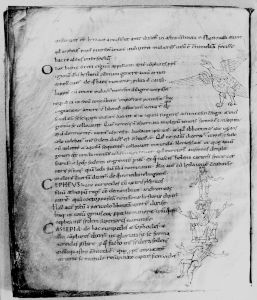 Hyginus p.8v - 10th century