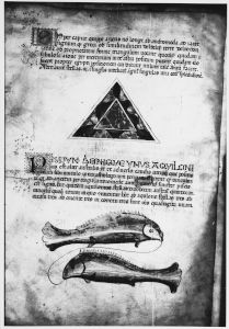 Biblioteca Comunale degli Intronati - L. IV. 25, fol. 8v - 15th century