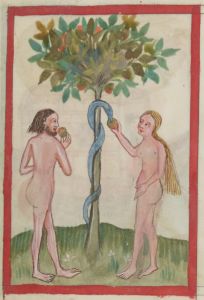 Bibliothèque nationale de France - lat. 9585, fol. 7r - 15th century (first half)