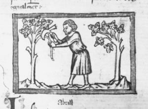 Ermengaud, Matfre p.43r - 15th century