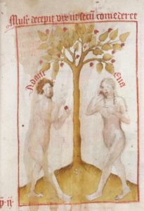 Public Library - Spencer 15, fol. 3r - 1420 (circa)