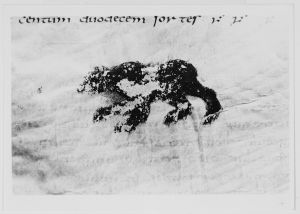 Dombibliothek - 83 II, fol. 155r - 798