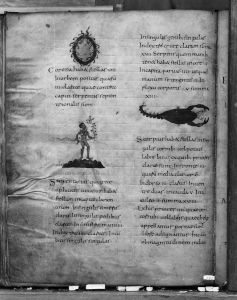 Österreichische Nationalbibliothek - Cod. 387, fol. 117v - 818