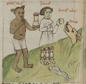 Stiftsbibliothek - Cod. 166, fol. 15v - 15th century (early)