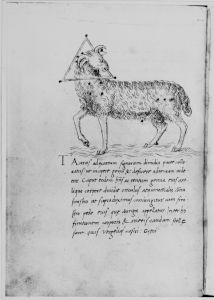 Hyginus p.17v - 15th century