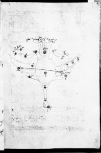 al-Sufi p.54r - 1125