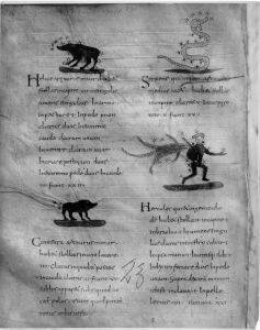 Bayerische Staatsbibliothek - Clm 210, fol. 115v - 818